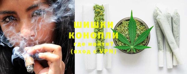 хмурый Лагань