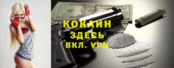 спайс Грязовец