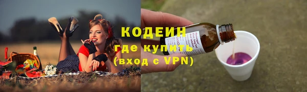 PSILOCYBIN Лабытнанги