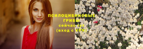 хмурый Лагань