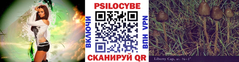 ссылка на мегу ссылка  Называевск  Псилоцибиновые грибы Psilocybine cubensis  купить наркотики цена 